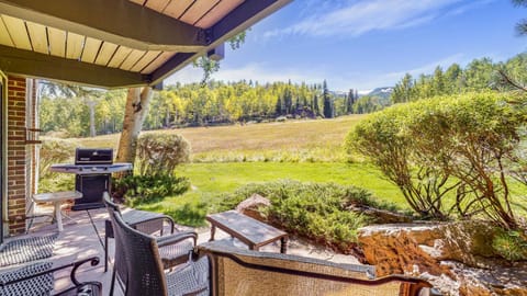 Patio, Mountain view