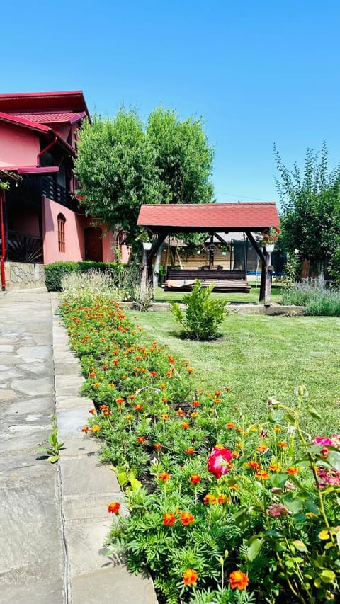 Casa dintre munti Karina Bed and Breakfast in Prahova, Romania