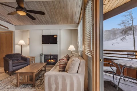 Balcony/Terrace, Living room, Mountain view