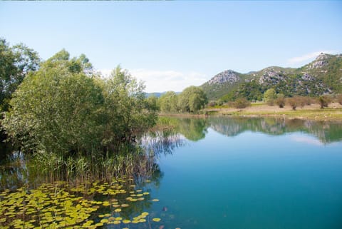 Nearby landmark, Day, Natural landscape, River view