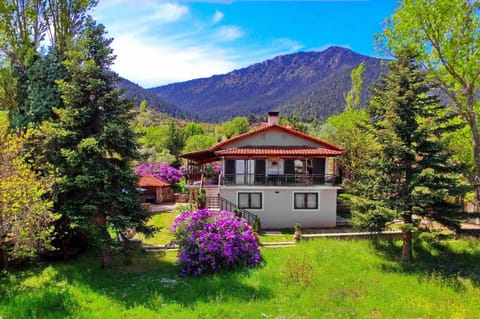 Property building, View (from property/room), Garden view, Landmark view, Mountain view, Street view, Location, Quiet street view, Inner courtyard view