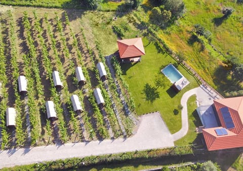 Property building, Bird's eye view