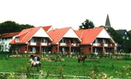 Horse-riding, Area and facilities