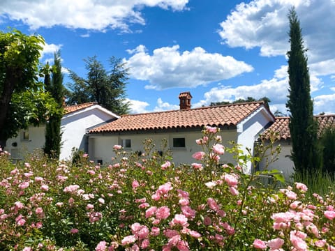 Property building, Garden