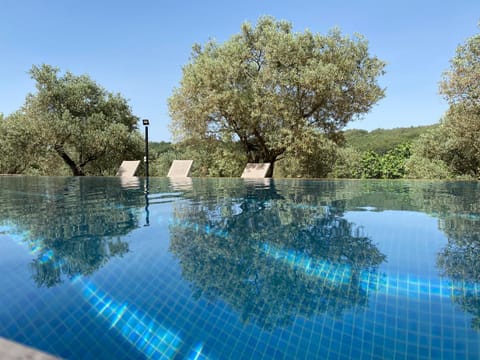 Natural landscape, Pool view, Swimming pool, sunbed