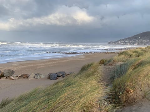 Natural landscape, Winter, Beach, Sea view