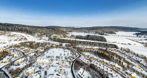 Bird's eye view, Winter