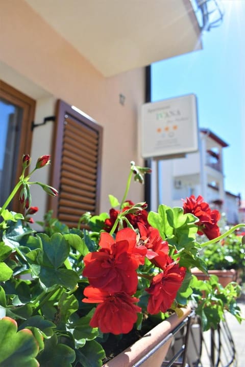 Property building, Day, Garden