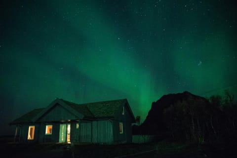 Property building, Night, Winter