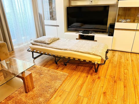 Apartament Premium Skawina Apartment in Krakow