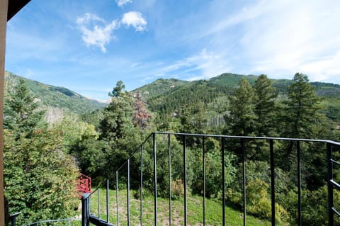 3830 County Road 124 House in La Plata County