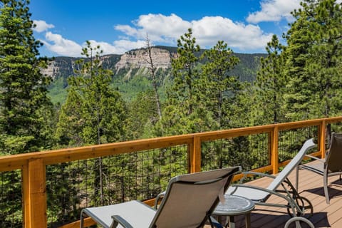 26 Big Pine Trail House in La Plata County