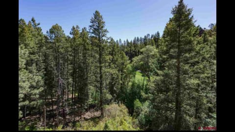 Tamarron PineCone 828 House in La Plata County