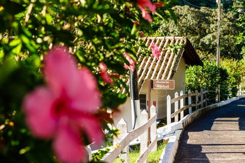 Spring, Day, Garden, Garden view