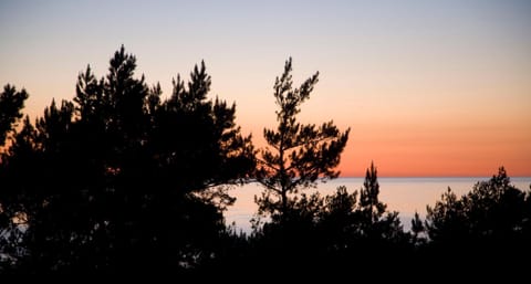 Natural landscape, Sea view, Sunset
