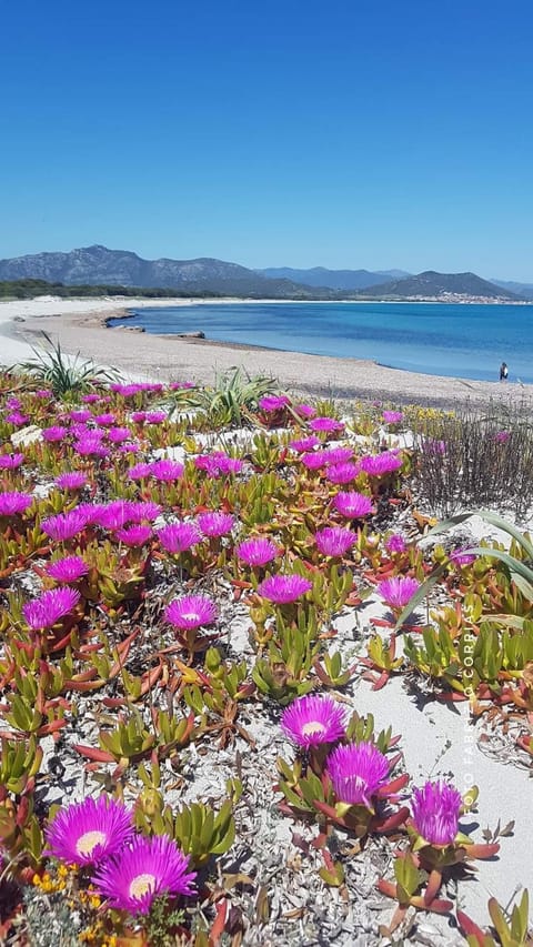 Natural landscape, Beach