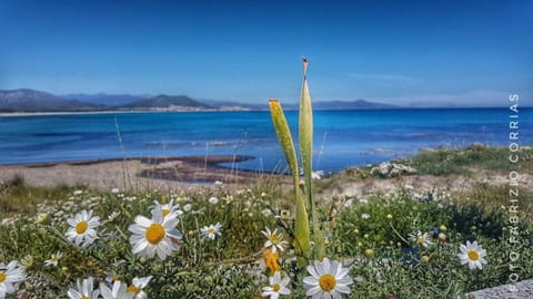 Natural landscape, Sea view