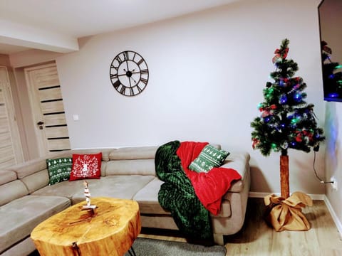 Sworne Zacisze Apartment in Pomeranian Voivodeship