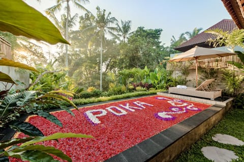 Spring, Day, Garden, Garden view, Pool view, Swimming pool