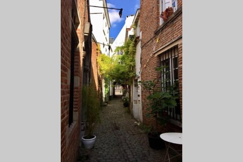 En plein cœur de Bruxelles. Superbe duplex.A voir! Apartment in Brussels