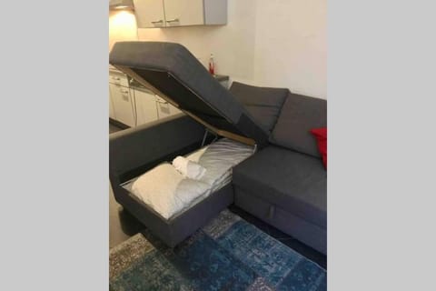 En plein cœur de Bruxelles. Superbe duplex.A voir! Apartment in Brussels