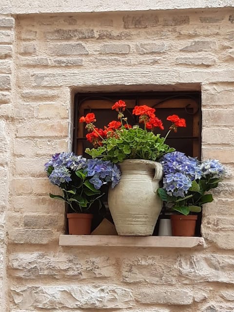 LE DIMORE ARCANGELO Maria Apartment in Assisi