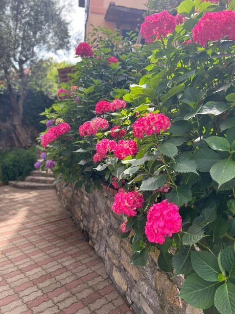 Day, Garden, Garden view