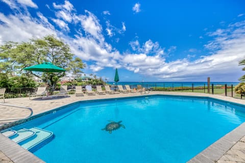 Napili Point Apartment in Kapalua