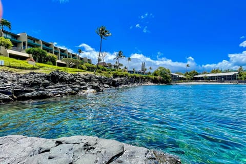 Napili Point Apartment in Kapalua