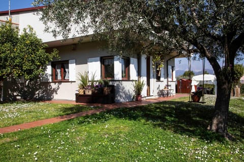 Natural landscape, Garden, Garden view