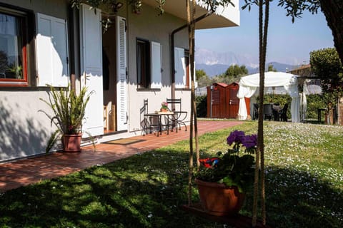 Property building, Garden, Garden view