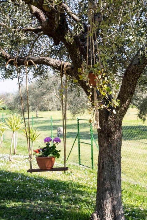 Casa Vacanze Oleandri House in Ameglia