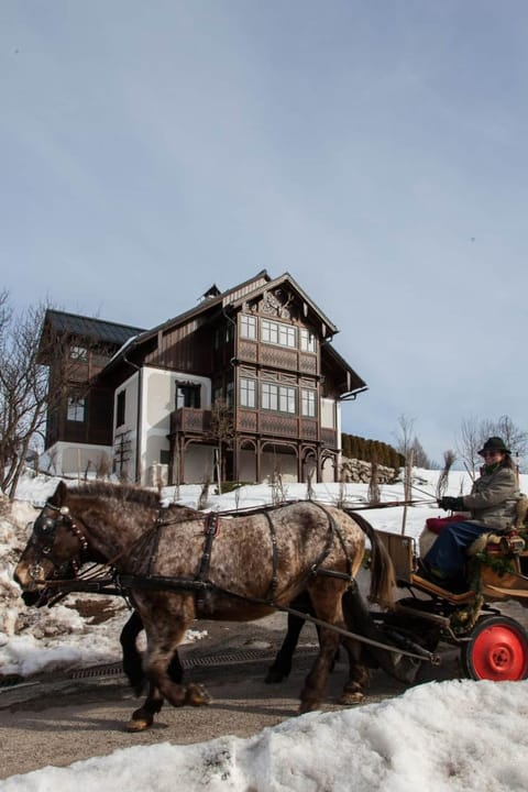 Property building, Winter