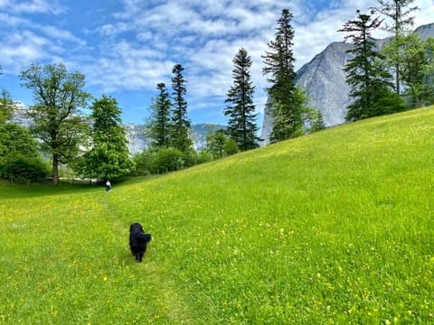 Staff, Summer, Hiking