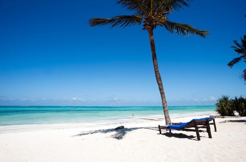 Communal lounge/ TV room, Beach