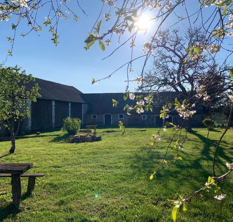 Property building, Garden, Inner courtyard view