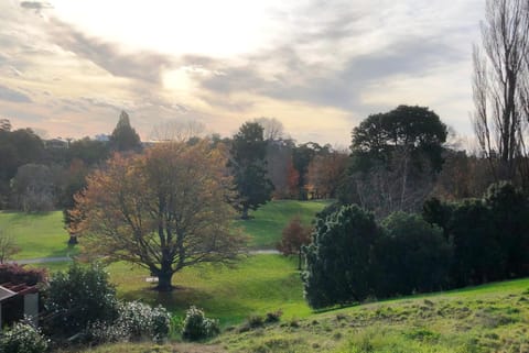 Natural landscape, Garden view
