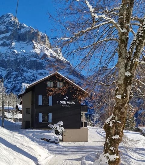 Property building, Winter