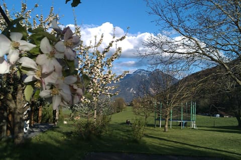 Hoderhof Condo in Grassau