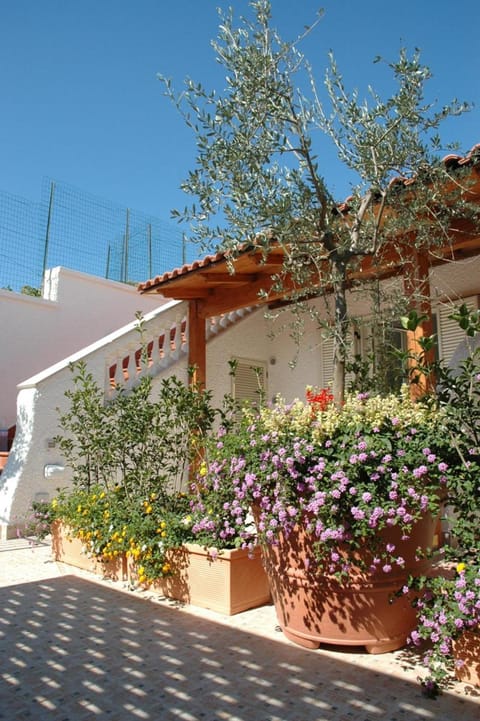 Villa Myremi House in Forio