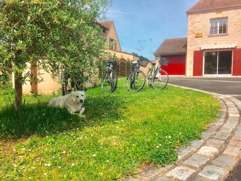 Garden, Cycling, Pets