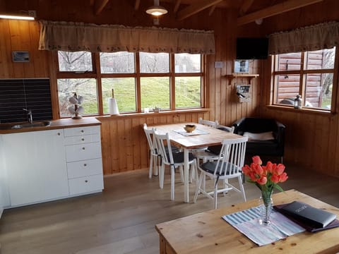 Ásólfsskáli Cottage Farm Stay in Southern Region