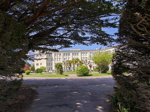 Property building, Garden, Garden view