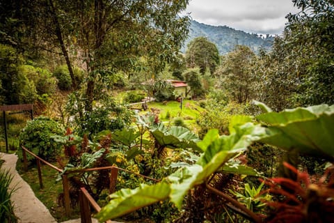 Paraíso Quetzal Lodge Nature lodge in San José Province