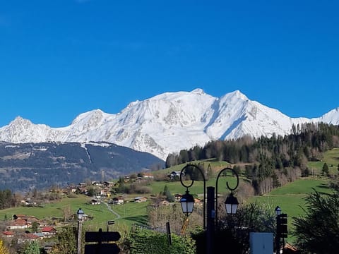 Demi-chalet de luxe avec piscine et vue Mont Blanc - FR-1-560-71 Chalet in Combloux