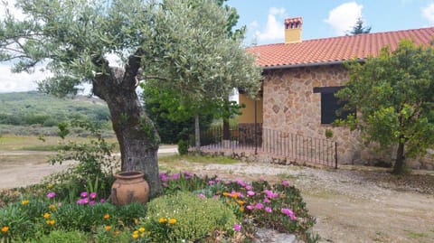 Property building, Facade/entrance, Off site, Garden