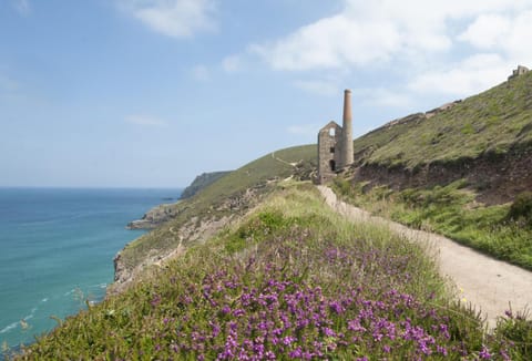 Salty's Cottage House in St Agnes