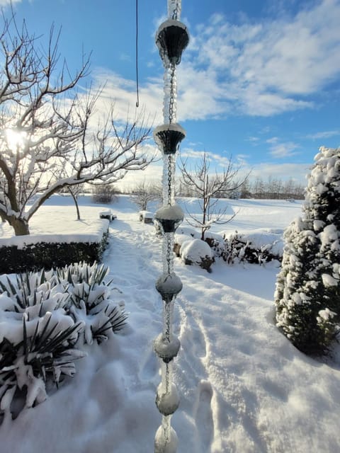 Natural landscape, Winter