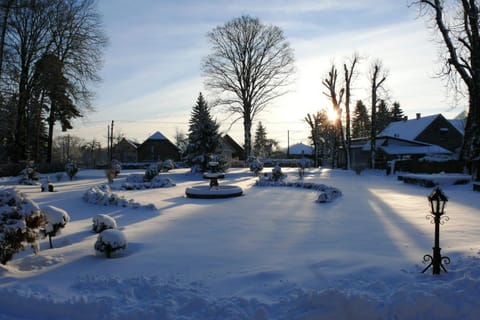 Winter, Garden