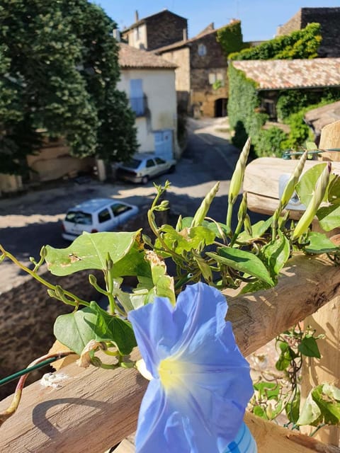 Spring, Quiet street view